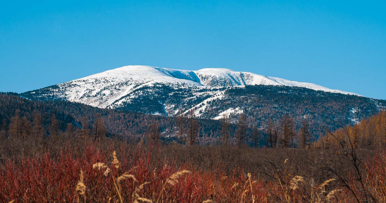 Burkan Khaldun Mountain